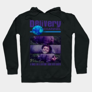 Delivery Channel. (Ace Ventura/Discovery Channel Parody) Hoodie